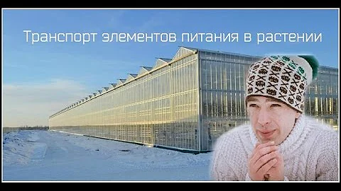 Корневое давление и транспирация