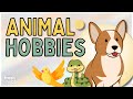 Animal hobbies  hobby ideas for people who love animals