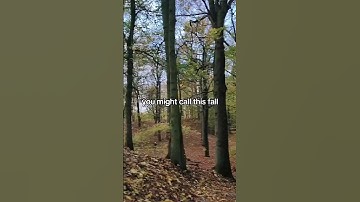 Devs Conference Season