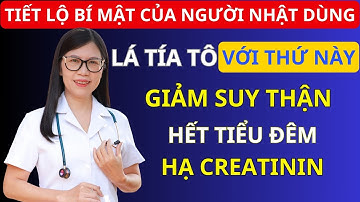 Người thận yếu: Dùng LÁ TÍA TÔ THEO CÁCH NÀY giúp hạ creatinine, hết tiểu đêm, ngủ ngon sâu giấc