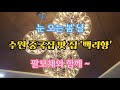 눈 오는 봄 날, 수원 중국 요리 맛 집 '백리향'