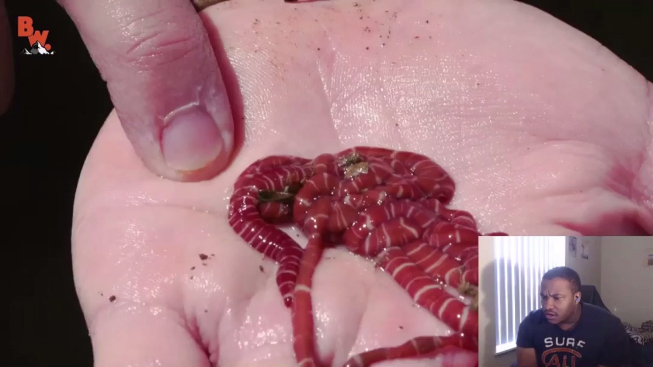 Creepy Tide Pool Creatures! FUNNY REACTION!!