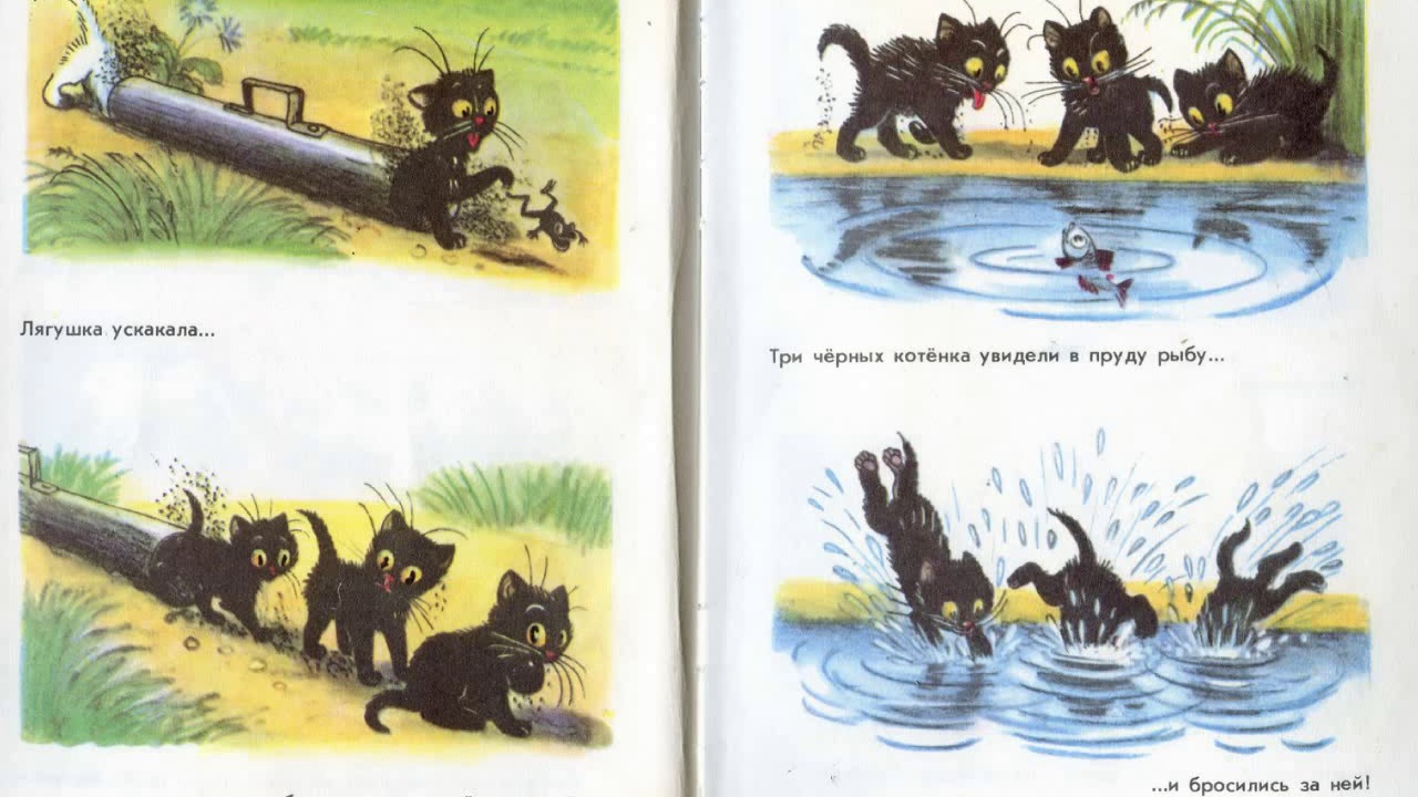 Федин котенок 3 полностью. Сутеев 3 котенка. Сутеев иллюстрации три котенка. Сутеев в. "три котенка". Книга Сутеева три котенка.