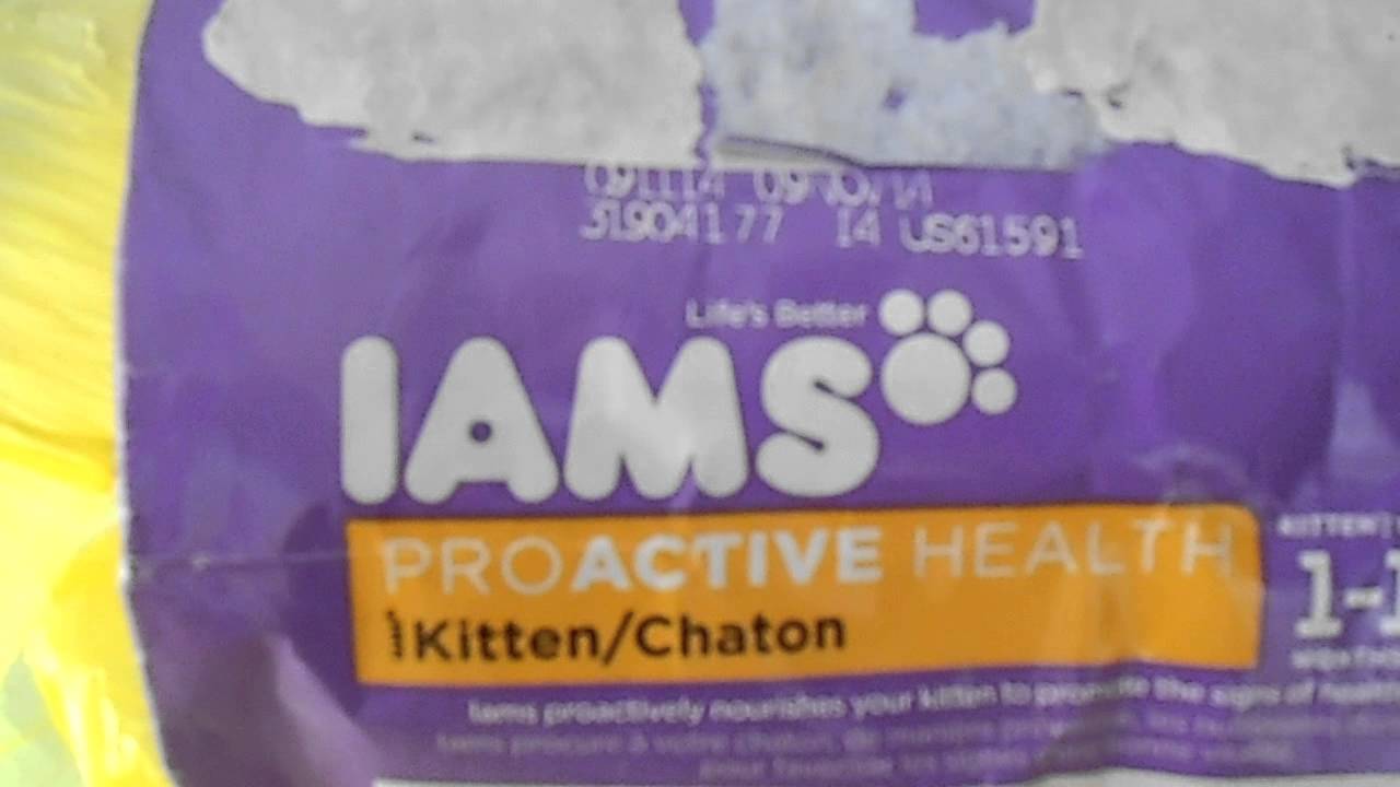 Procter & Gamble RECALLS Iams Cat/Kitten Food by phone message...pt 1