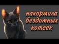 #Помощь_бездомным_животным