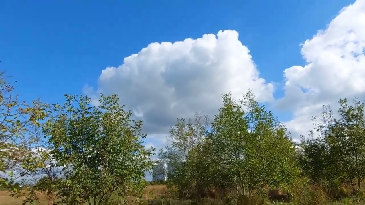 Реалии и быт на войне - как пос*ать, чтоб не умереть? Какая она война - в окопе в поле?