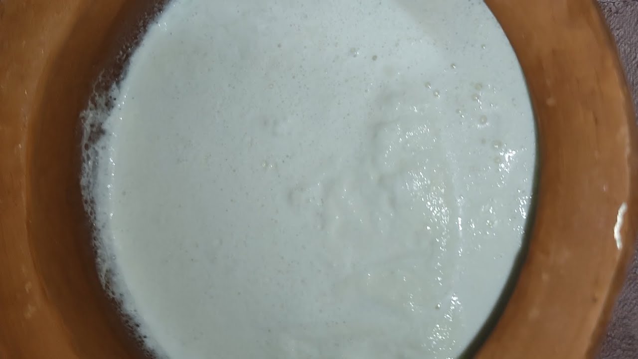 मिट्टी के बर्तन में दही कैसे जमाए | दही जमाने का आसान और सही तरीका | स्वाद में जबर्दस्त 