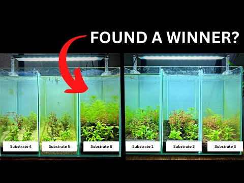 Video: Können Sie Fluval Stratum wiederverwenden?