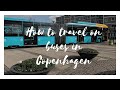 Travelling on buses in Copenhagen - what you need to know