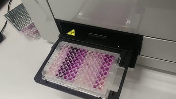 TechThursday XXXIII: The plate reader