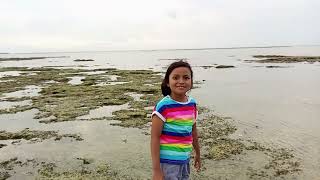 anak pantai