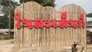 EP.32 จอดนอนที่ในดงเต็นท์ มวกเหล็ก จังหวัดสระบุรี #แวะไปเรื่อย #จอดนอนไหนดี #ในดงเต็นท์
