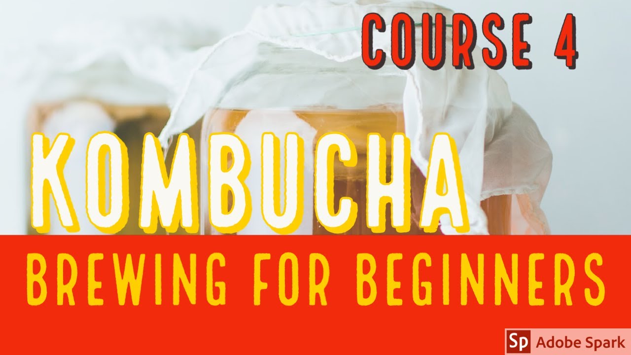 Course 4 Benefits of Kombucha & Does It Live Up To The Hype? Make