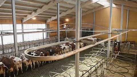 Hetwin Astor Automated Bedding System // automatizált almozó rendszer