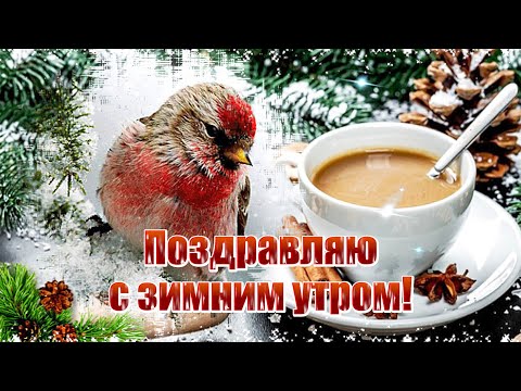 Видео: Поздравляю с зимним утром! Замечательного дня!