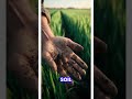 The Carbon Capture Plow: How Soil Engineering is Reversing Climate Change 🚜❄️