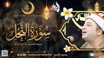الشيخ طه النعماني سورة النحل