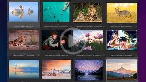 PhotoLab 8 : Navigating your PhotoLibrary