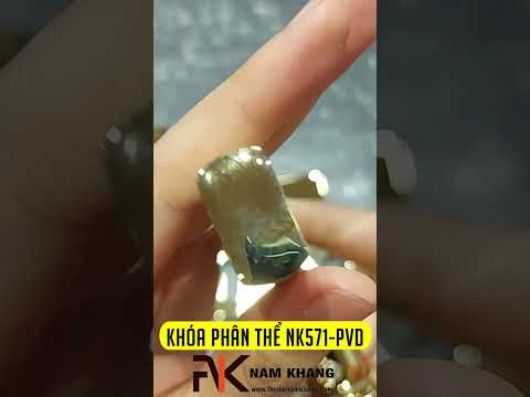 Khóa Cửa Phân Thể NK571-PVD