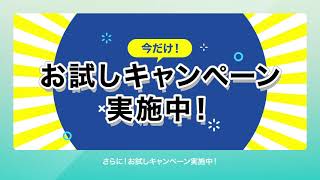 尿をアンモニア化させない消臭剤 HARUのご紹介