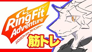 【ドラゴンＶ】王家の筋トレ。【リングフィットアドベンチャー】