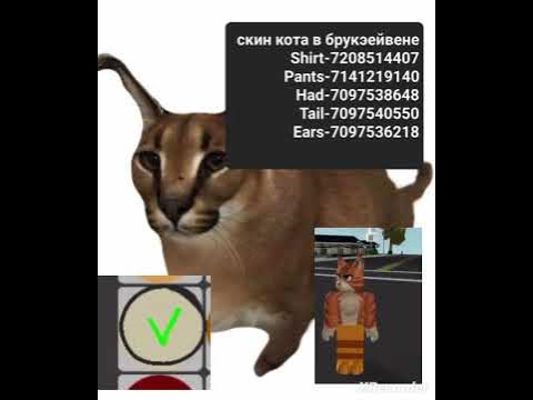 скин кота - YouTube