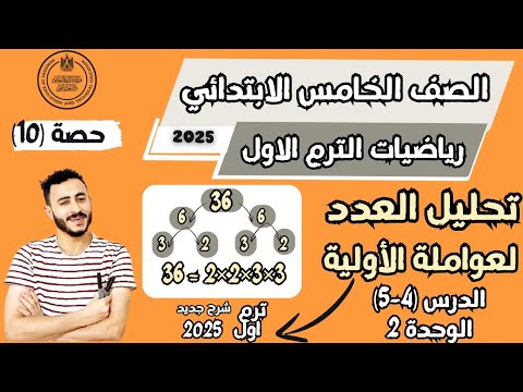 تحليل العدد لعواملة الاولية الدرس 3 4 الوحدة 2 رياضيات الصف الخامس ترم اول 2025 مستر محمد ابراهيم