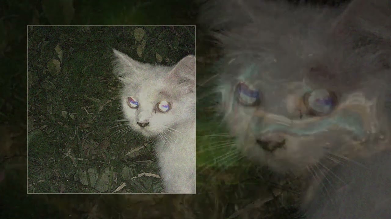 2003 - never again (Официальная премьера трека) auf YouTube ansehen 2003 - never again (Официальная премьера трека) auf YouTube ansehen