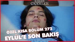 Kırgın Çiçekler Özel Kısa Bölümler | 272