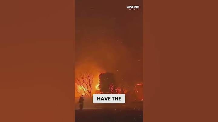 Homes destroyed by Pacific Palisades fires