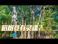 《地理·中国》 20240218 自然奥秘（一）·1|CCTV科教