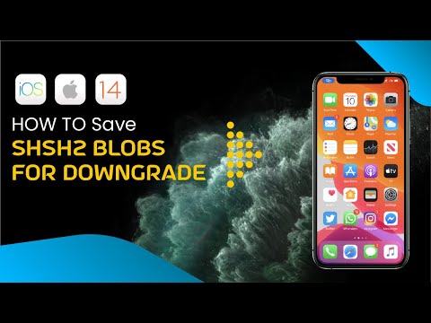 How To Save SHSH & SHSH2 Blobs With TSS Saver For Future iOS Downgrade [2022]