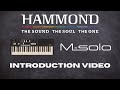 Hammond msolo introduction