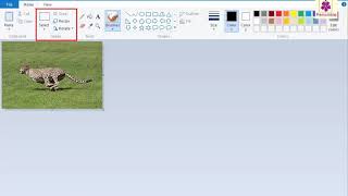Rotating an Image | Computer Training | Periwinkle