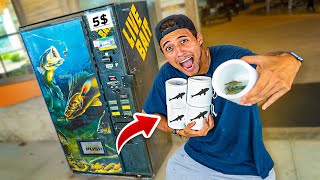 Salvando Peixes Vivos Da Máquina De Vendas Comprei Tudo