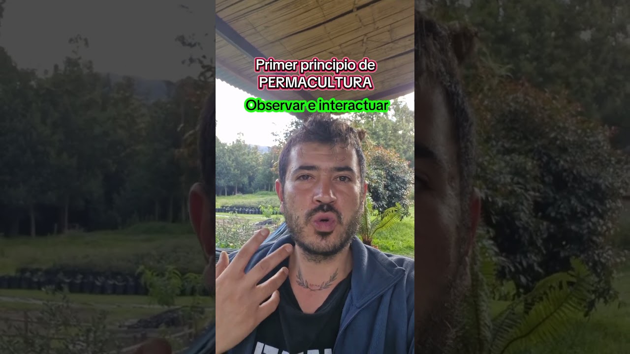 First principle of PERMACULTURE: Observe and interact