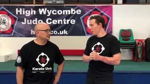 Basic Karate Stances and their applications!