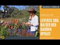 Hugelkultur: Layered Soil Raised Bed Garden Update 🌱🍂🌺