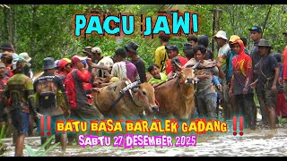 BATU BASA BARALEK GADANG ‼️ PEMBUKAAN ALEK PACU JAWI LUAR BIASA