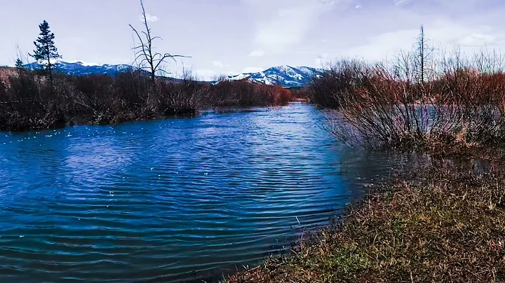 TastyChewy Presents Fela Kuti - Water No Get Enemy