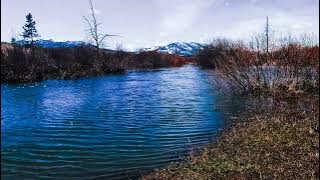 TastyChewy Presents Fela Kuti - Water No Get Enemy