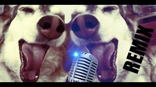 Autotunedog [Remix]