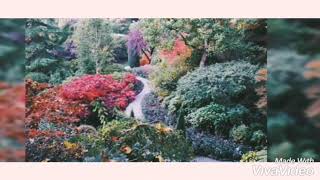 Kisah patahnya sayap Malaikat dan keajaiban sholawat kepada RasuluLLAH SAW