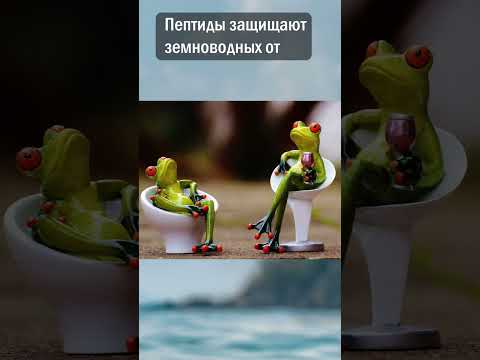 Зачем запускать лягушку в молоко?