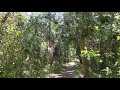Pioneer Park Zolfo Springs Florida