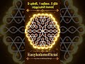 9*5 புள்ளி #easy #simple #muggulu #sikkukolam #beginnerfriendly #traditionalkolam # Markali kolam👍🙏