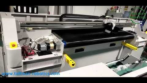Gantry 3 Axis Robot XYZ linear Stage from Tallman Robotics Limtied