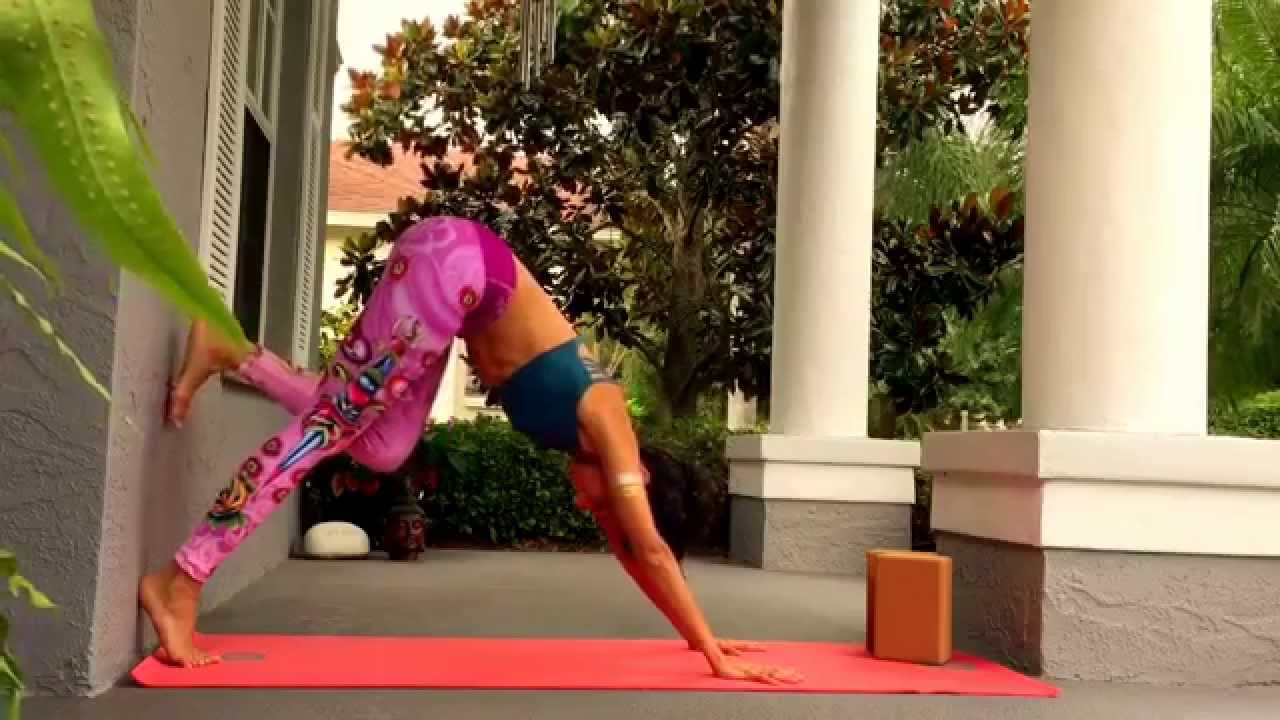 Basic preparation for Adho Mukha Vrksasana || Preparación básica para la Adho Mukha Vrksasana