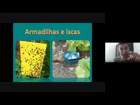 Vídeo: Como a agricultura orgânica pode controlar as pragas?