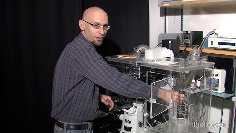 Microscopy: Live Cell Imaging and Environmental Control (Kurt Thorn)